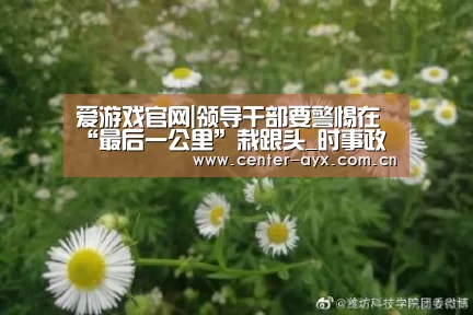 爱游戏app