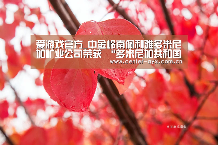 爱游戏app