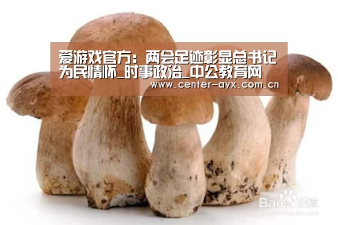 爱游戏官网