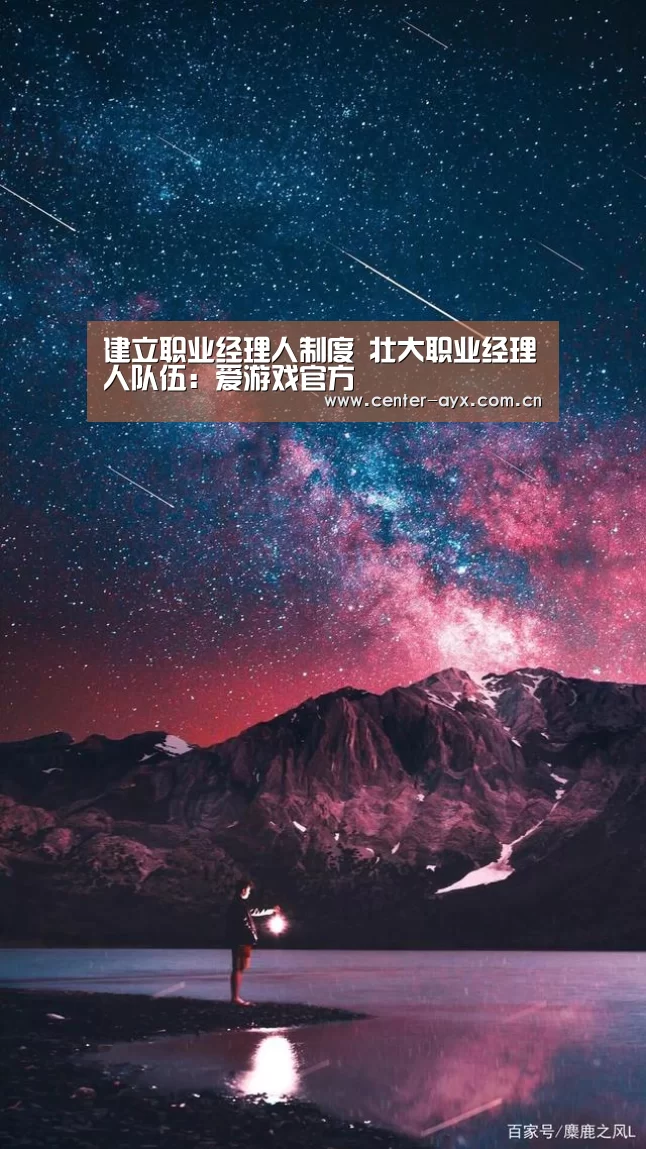 建立职业经理人制度 壮大职业经理人队伍：爱游戏官方