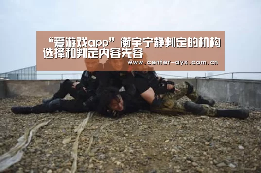 “爱游戏app”衡宇宁静判定的机构选择和判定内容先容