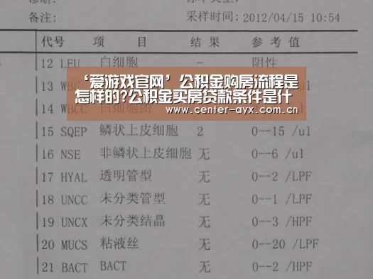 爱游戏体育