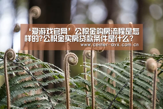 ‘爱游戏官网’公积金购房流程是怎样的?公积金买房贷款条件是什