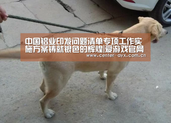 中国铝业印发问题清单专项工作实施方案铸就银色的辉煌|爱游戏官
