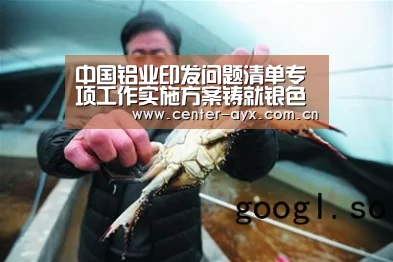 中国铝业印发问题清单专项工作实施方案铸就银色的辉煌|爱游戏官网(图2) 爱游戏官网