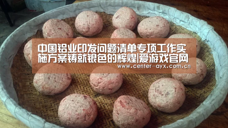 中国铝业印发问题清单专项工作实施方案铸就银色的辉煌|爱游戏官网(图3) 爱游戏体育