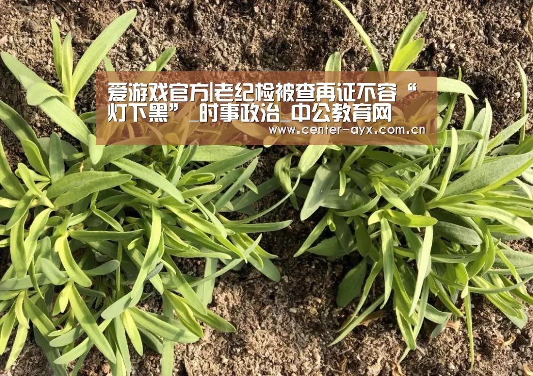爱游戏官方|老纪检被查再证不容“灯下黑”_时事政治_中公教育