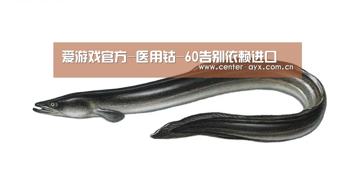 爱游戏app
