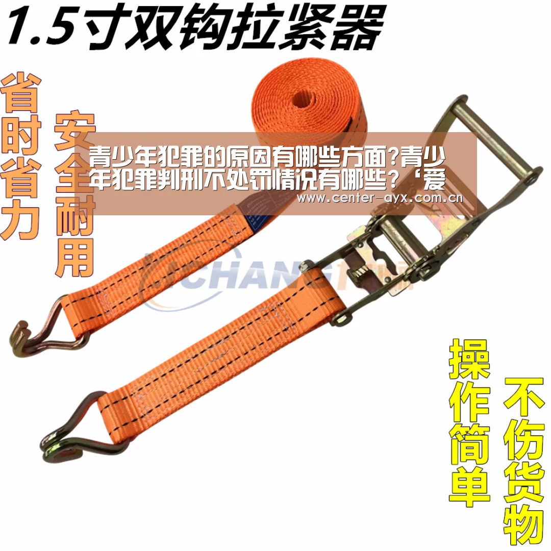 青少年犯罪的原因有哪些方面?青少年犯罪判刑不处罚情况有哪些?‘爱游戏官网’(图2) 爱游戏官网