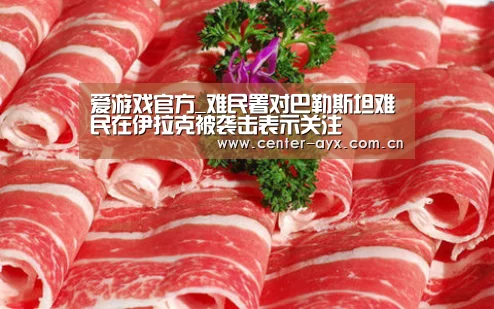 爱游戏官方_难民署对巴勒斯坦难民在伊拉克被袭击表示关注(图1) 爱游戏app
