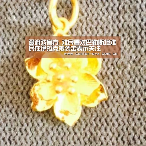 爱游戏官方_难民署对巴勒斯坦难民在伊拉克被袭击表示关注(图2) 爱游戏官方